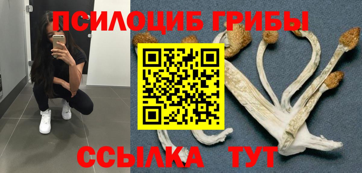 Галлюциногенные грибы MAGIC MUSHROOMS  Вход с VPN  Галлюциногенные грибы мицелий  где найти наркотики  Железноводск 